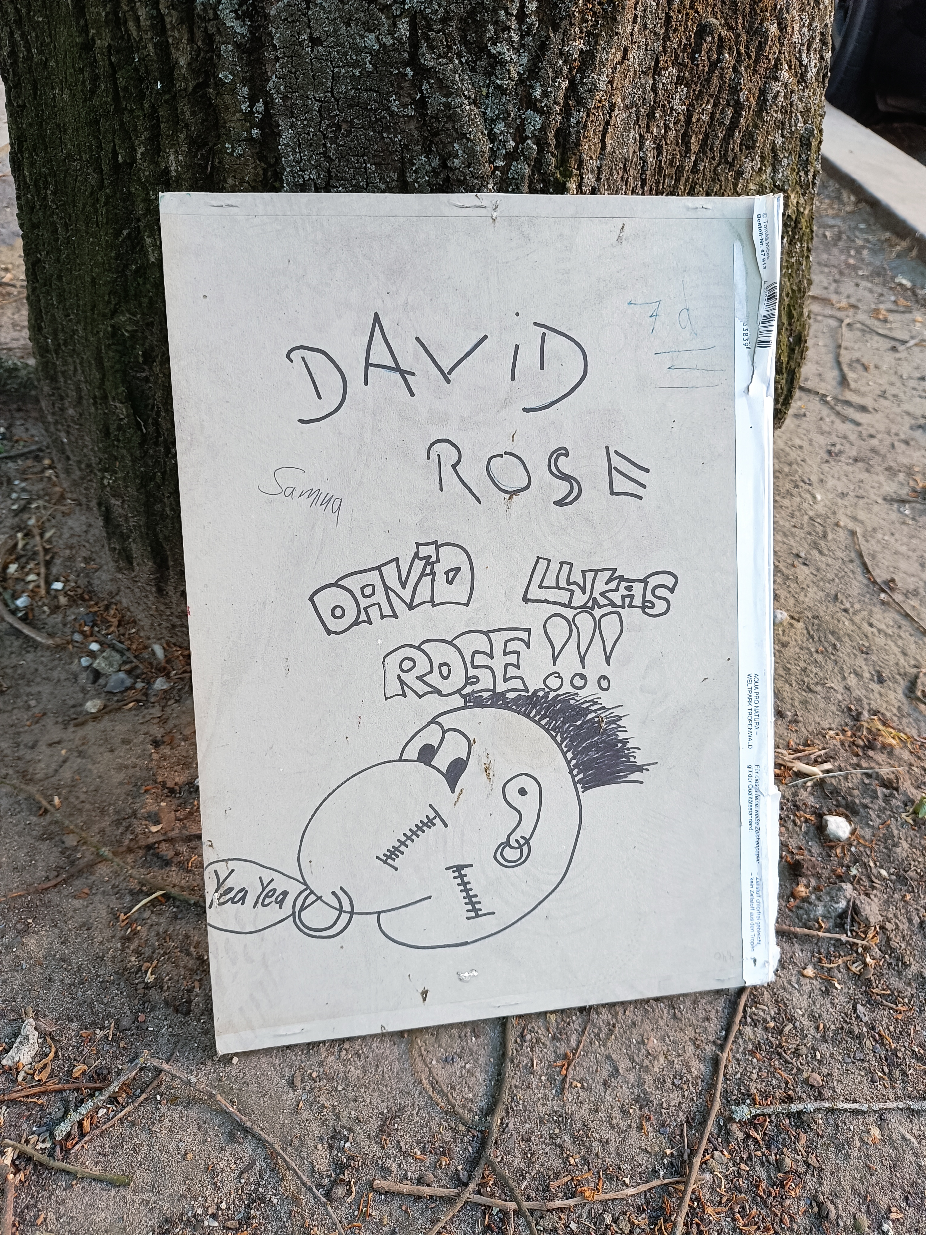 david rose